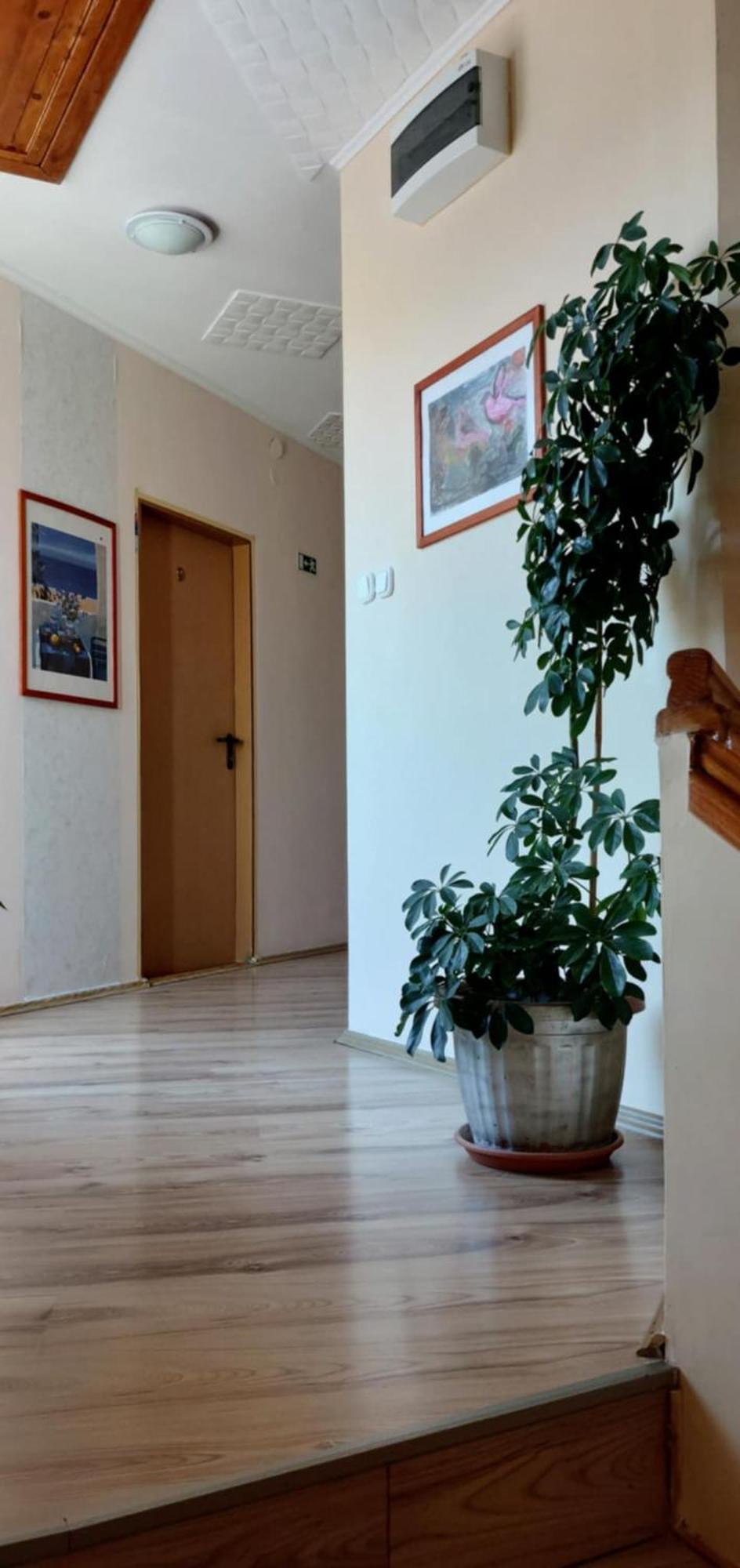 Bed and Breakfast Diana Fogado Keszthely Exterior foto